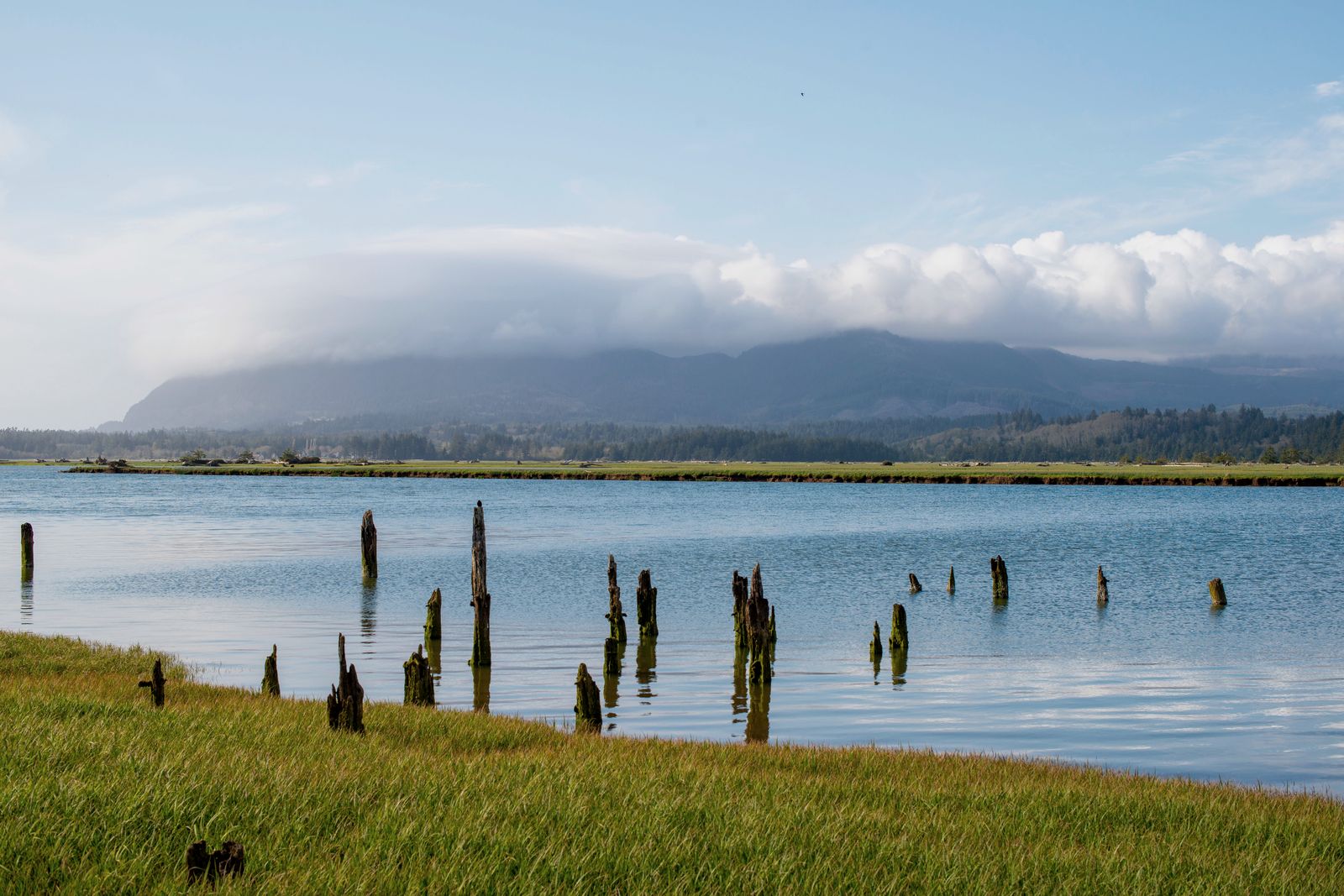 Coquille, Oregon