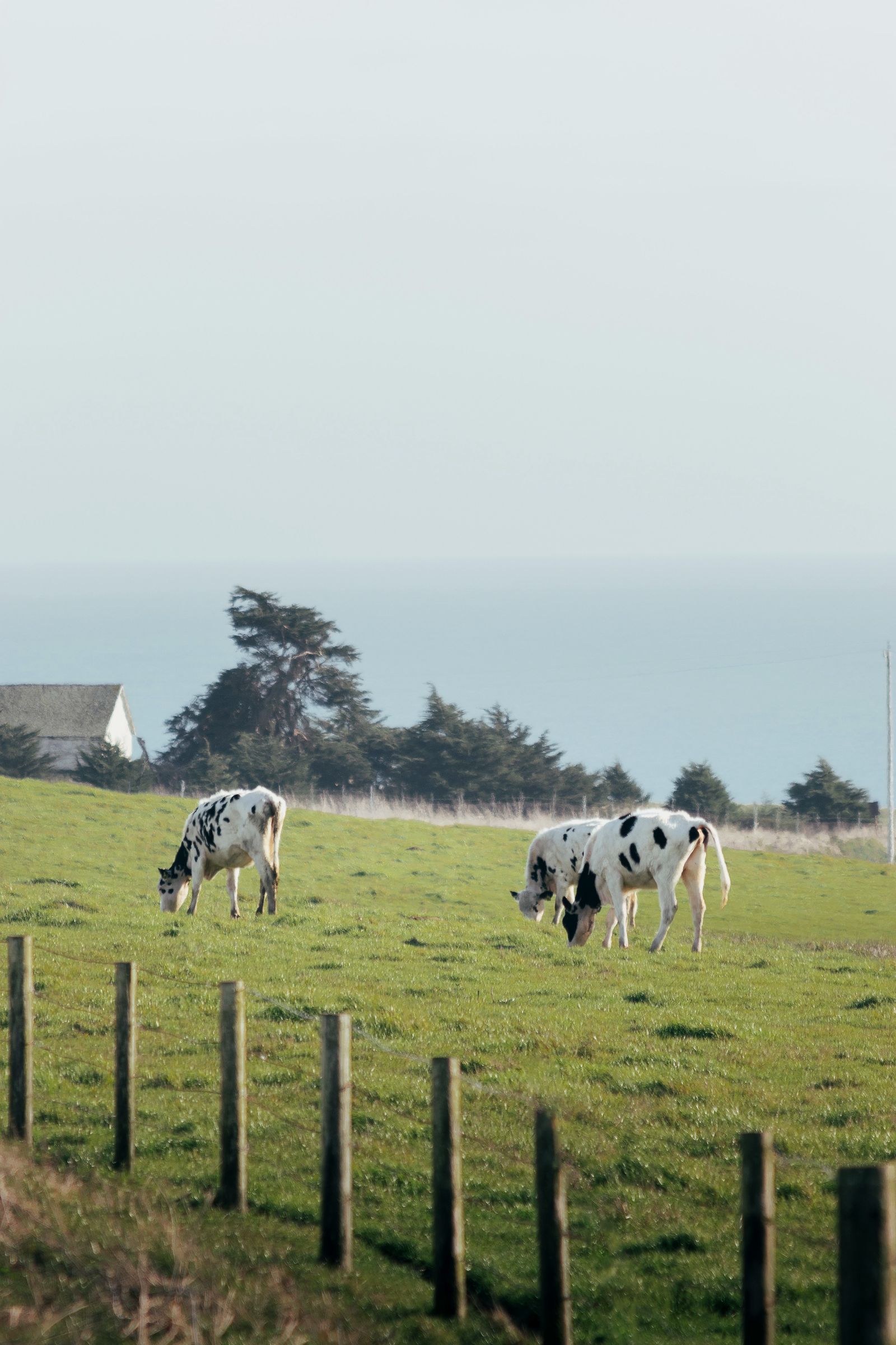 Tillamook, Oregon