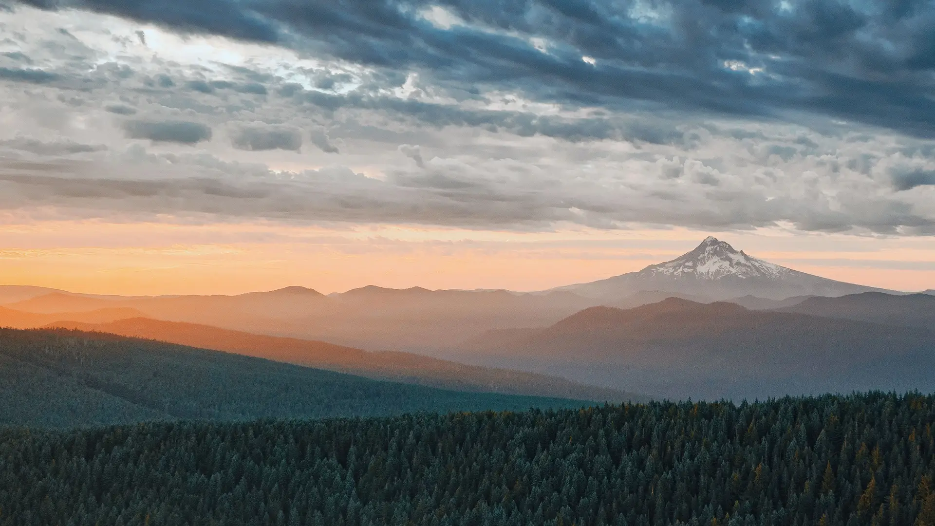 A snow capped peak on the horizon at sunset, above ridge after ridge of Pacific Northwest forest.