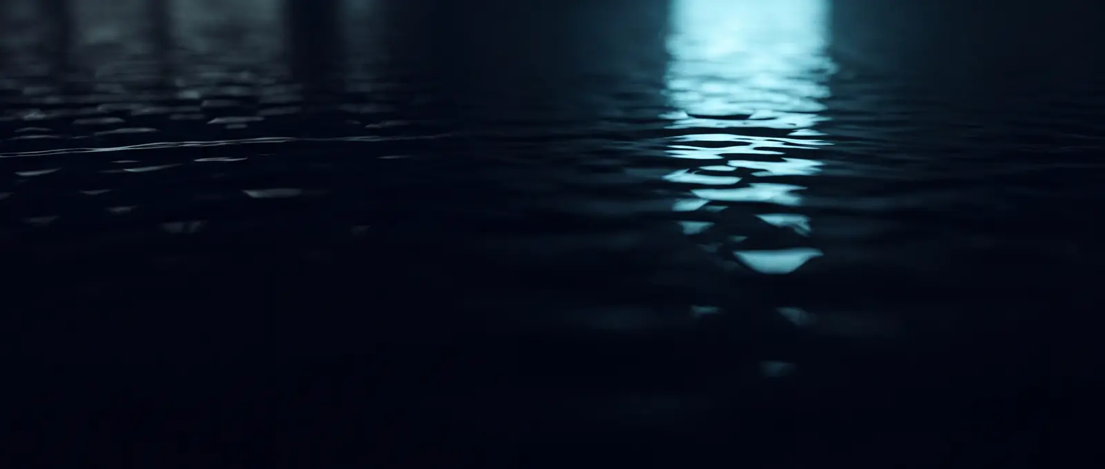 Dark water at night with a single trail of light running across it.